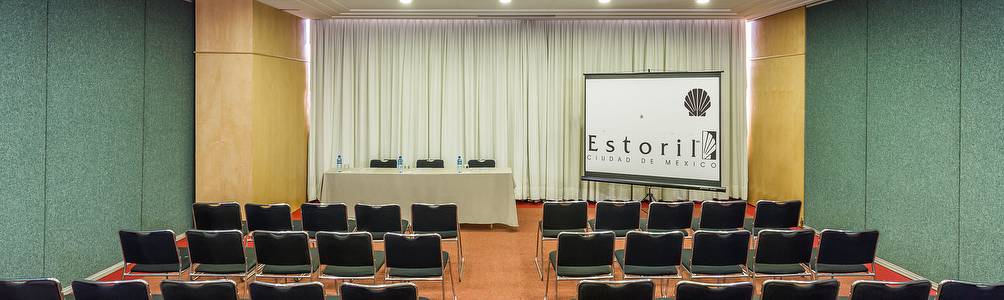Sal&oacute;n Hotel Estoril